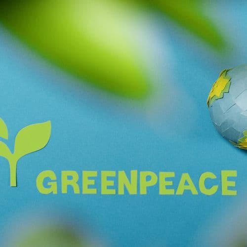 Black Friday Shein: Toxic Substances in One Third of Clothing