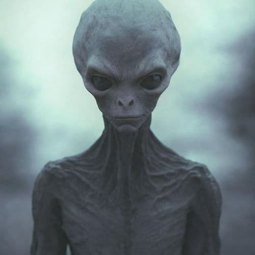 Xenopurge Launches Out of Steam Early Access Today