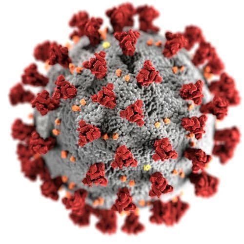 Immunological Mechanisms of Vaccination