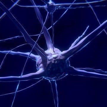 Can Adults Make New Brain Cells? New Study May Finally Settle One of Neuroscience's Greatest Debates