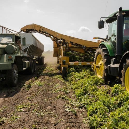 Tillage: Potato canopies now meeting between the drills - Agriland.co.uk