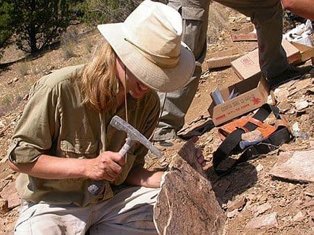 New ‘Goblin Prince’ lizard species discovered beneath dinosaur footsteps – DoonWire