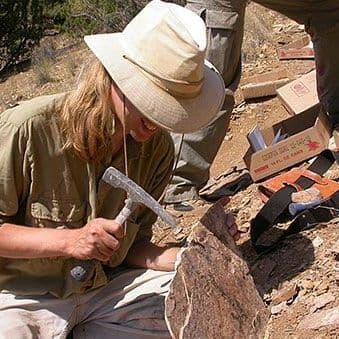 76 Million-Year-Old Footprints Show Tyrannosaurs Were Watching Their Prey