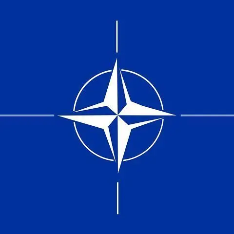 Who’s the Daddy? Nato’s Mark Rutte Raises Eyebrows with New Trump Nickname