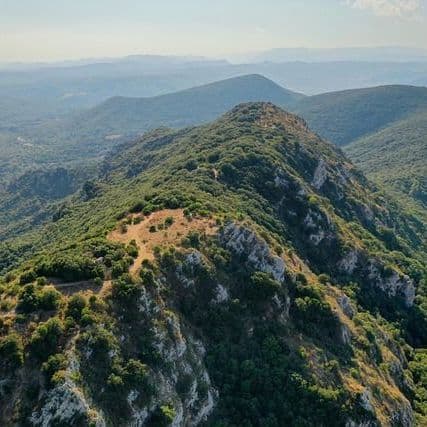 Gilles D'ettore Freed, Hard Hit for Catalan Ski Resorts, the Australian Shepherd at the Head of births... Most of the News in the Region
