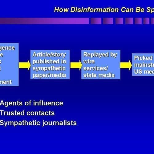 Violent Extremist Disinformation: Insights from Nigeria and Beyond