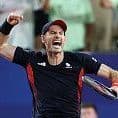 Novak Djokovic Made His Feelings Clear on Andy Murray Post-Retirement