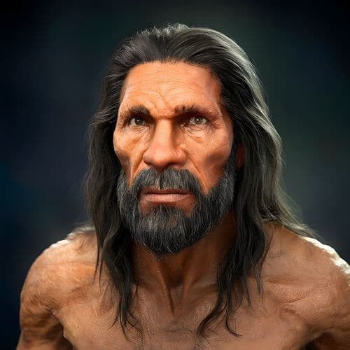 It seems like both Neanderthal Y-Chromosome DNA and Mitochondrial DNA originated from interbreeding with Homo Sapiens