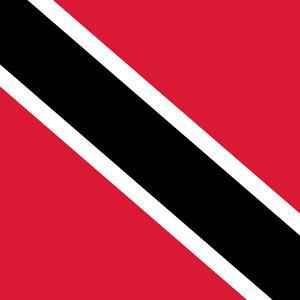 In defence of Pan Trinbago initiative - Trinidad and Tobago Newsday