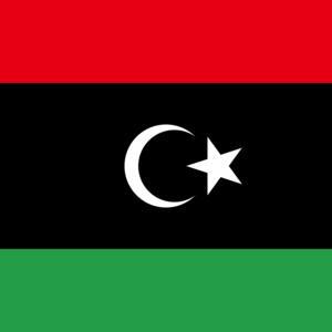 Libyan Army Patrols Seize Trucks Smuggling Fuel to Chad & Niger