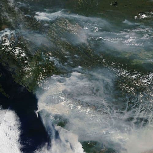 BRITISH COLUMBIA MOVERS & SHAKERS JANUARY 30, 2026