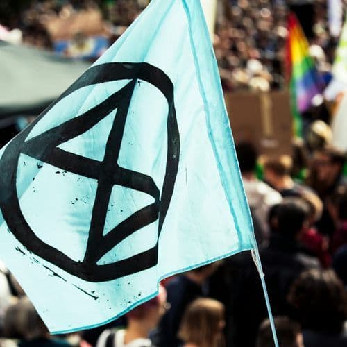 Exctinction Rebellion Protestor Climbs Norwegian Christmas Tree Destined for Trafalgar Square