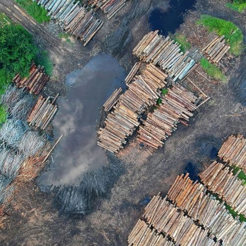 Brazil Set to Host COP30 with Climate Wins on Deforestation, Indigenous Reserves