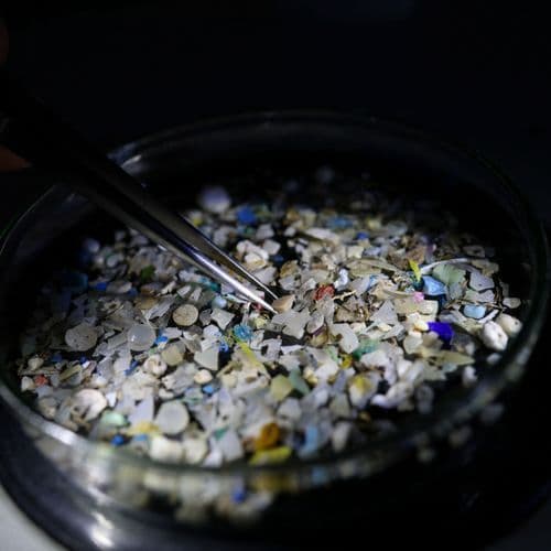 How Many Microplastics Do We Have in the Body?