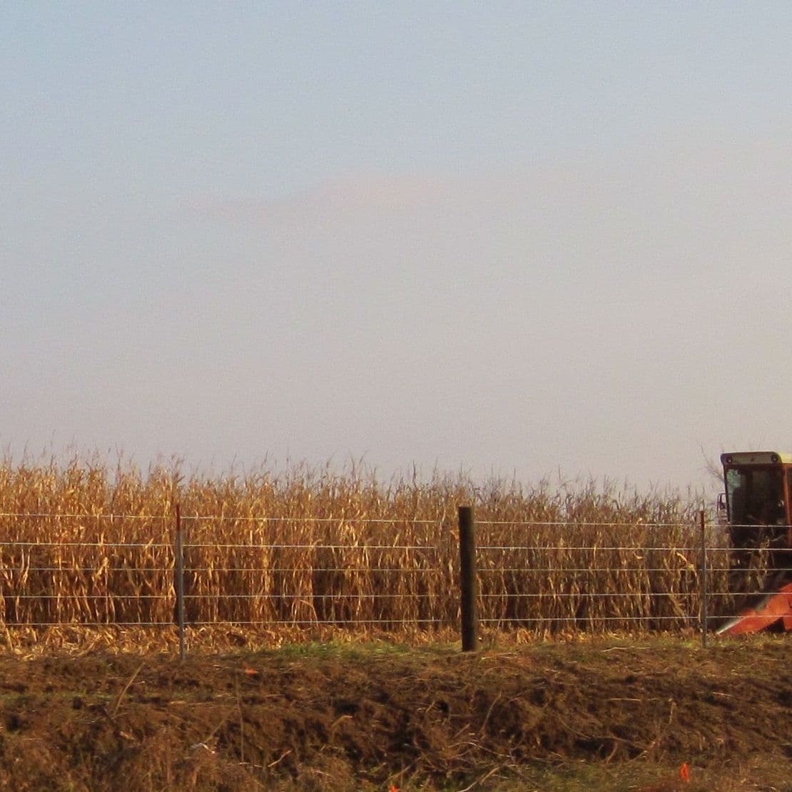 Republicans consider banning county, city issued identification cards